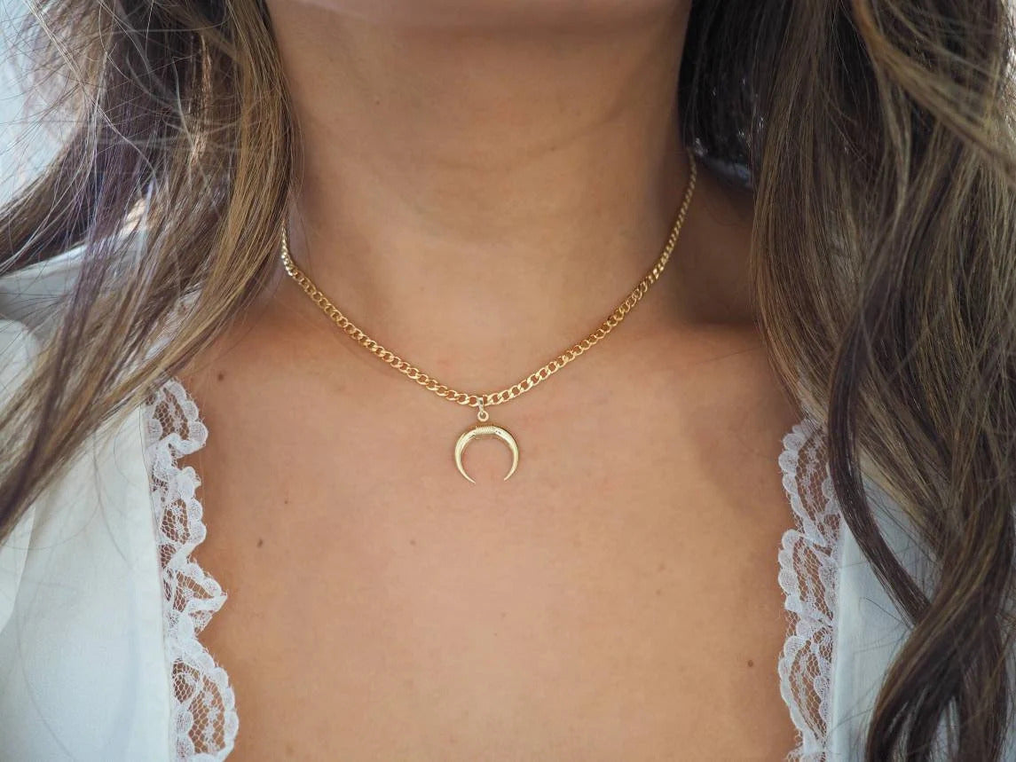 14k Gold Filled with 14k Solid Gold Big Horn Charm Necklace