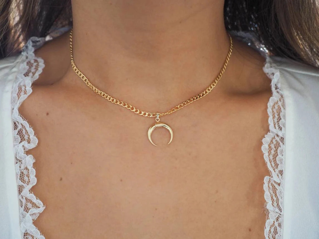 14k Gold Filled with 14k Solid Gold Big Horn Charm Necklace