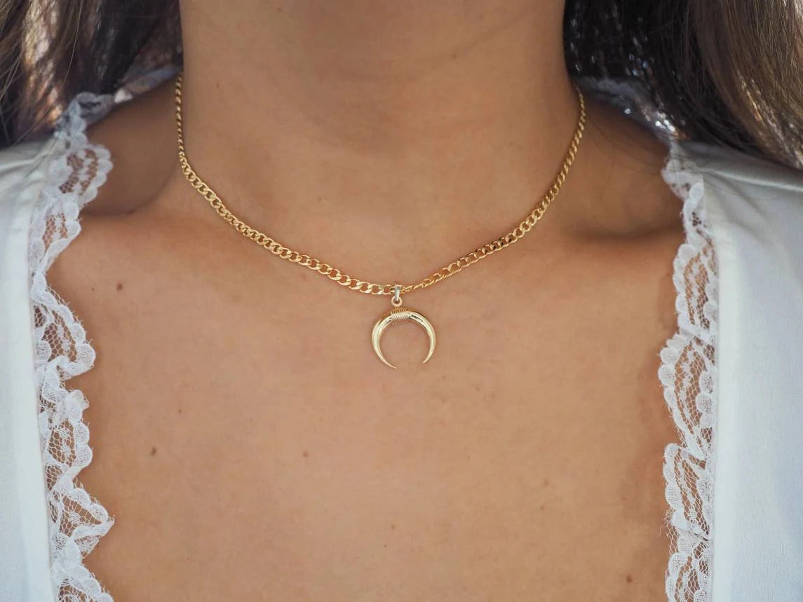 14k Gold Filled with 14k Solid Gold Big Horn Charm Necklace
